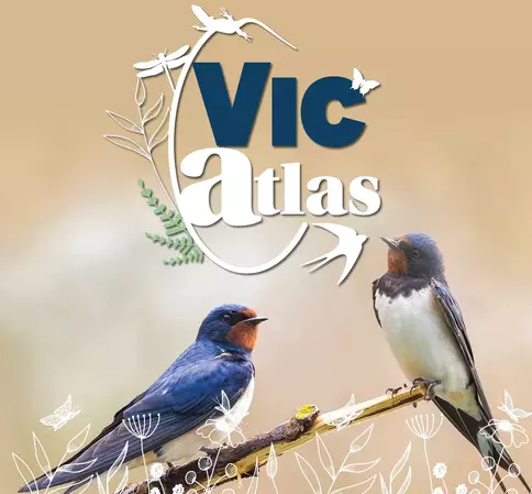 Vic' Atlas