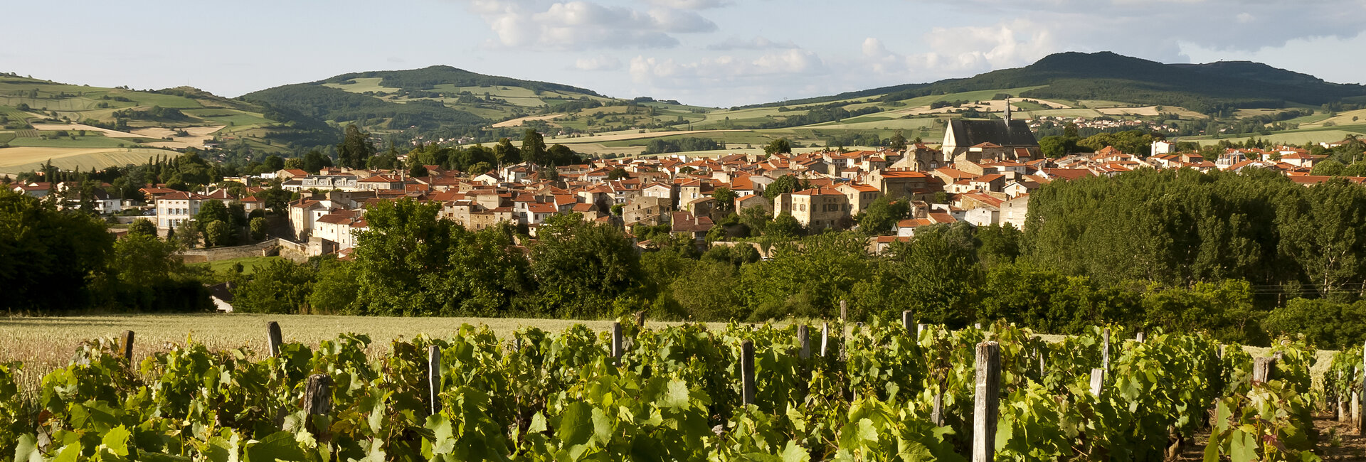 Les Labels de Vic le Comte (63)  Puy-de-Dôme