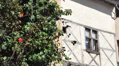 Maisons à pans de bois du XVe siècle