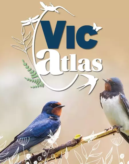 Vic'Atlas - Vic compte sa biodiversité