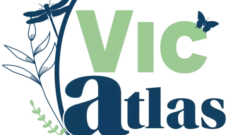 Vic’ Atlas 