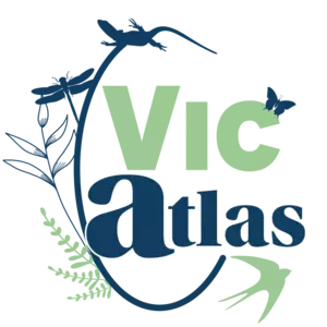 Vic’ Atlas 